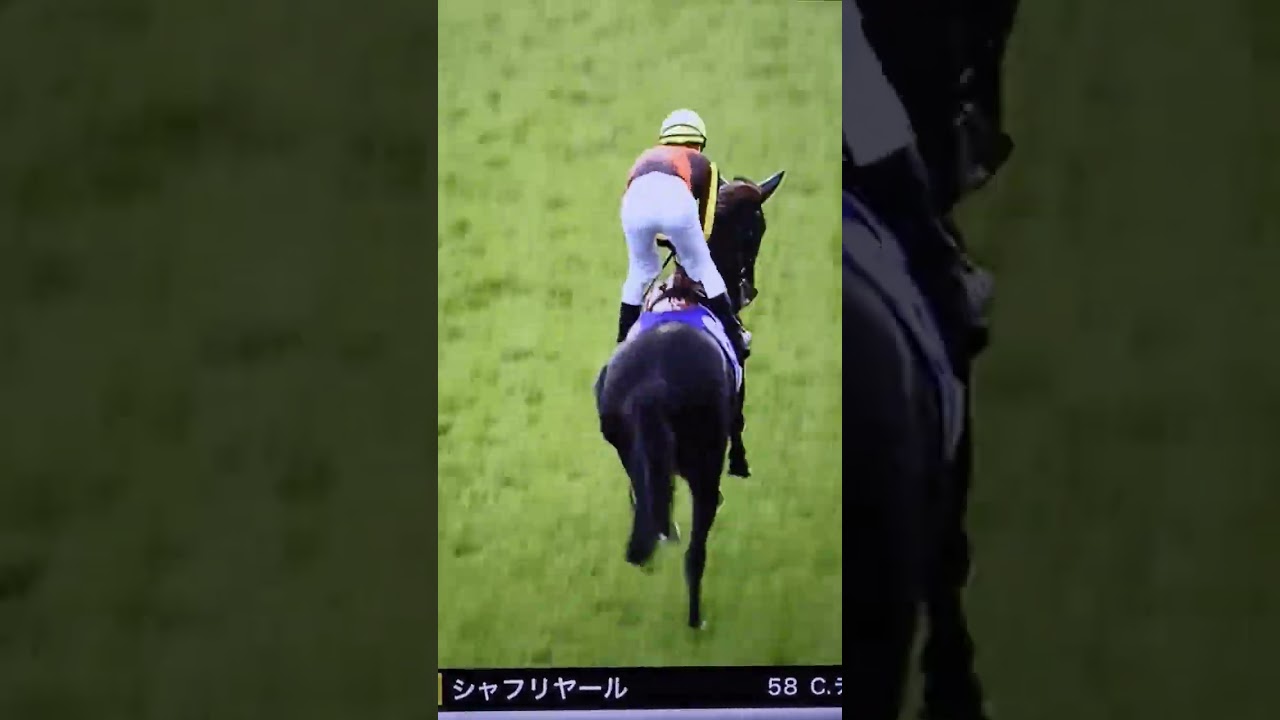 シャフリヤールの返し馬@天皇賞秋2022