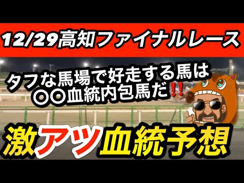 12/29（金）高知ファイナルレース血統予想