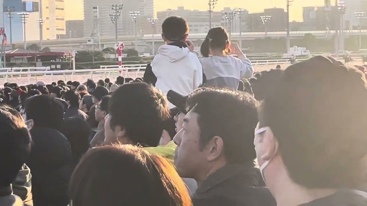 2023 12 29 大井9R 東京大賞典　出走馬紹介〜レース