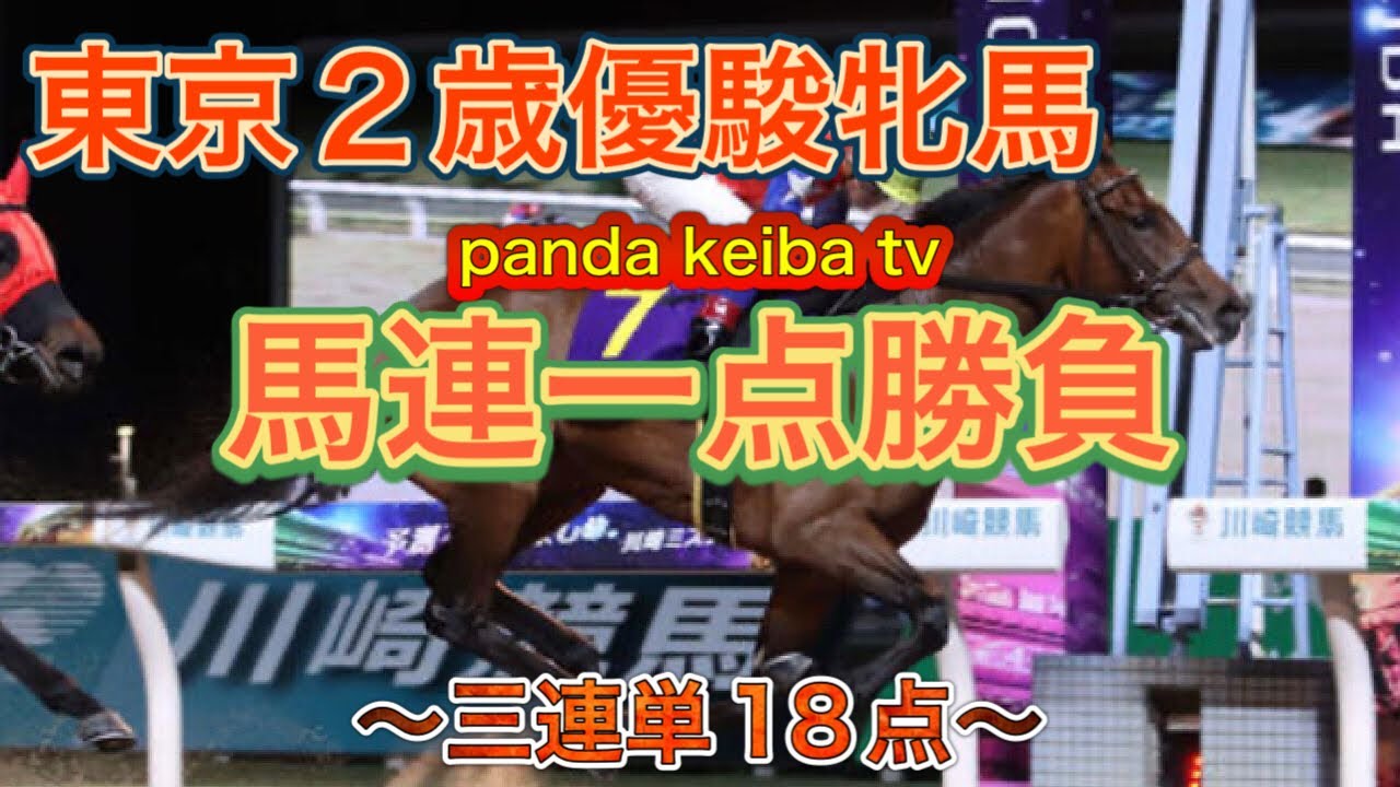 馬連一点‼️三連単18点勝負🔥今年最後の地方重賞はフルスイングで挑む‼️【東京２歳優駿牝馬】2023 予想〜買い目 panda keiba tv