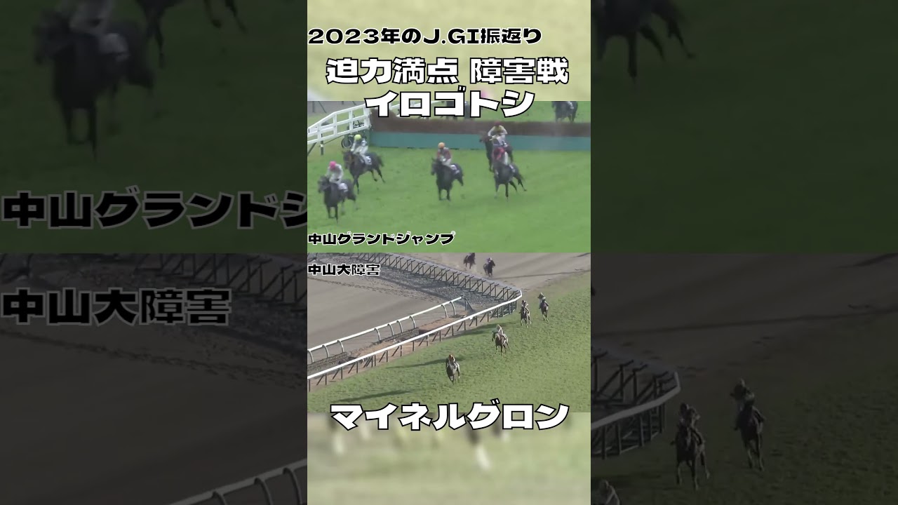 2023GⅠ振返り 迫力満点障害戦 イロゴトシ マイネルグロン#shorts