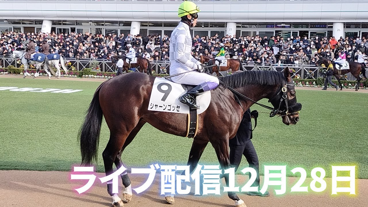 【ライブ配信】ライブ配信12月28日　中央競馬締めくくり