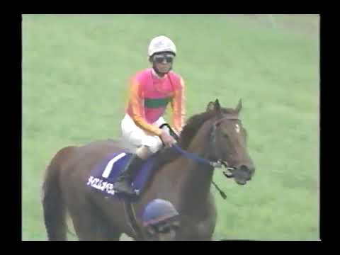 2001 天皇賞春 テイエムオペラオー