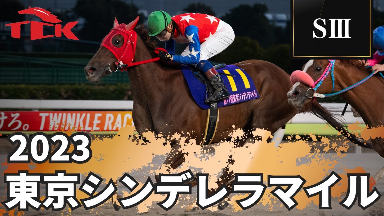 【第17回 東京シンデレラマイル(SIII)】の優勝インタビュー動画