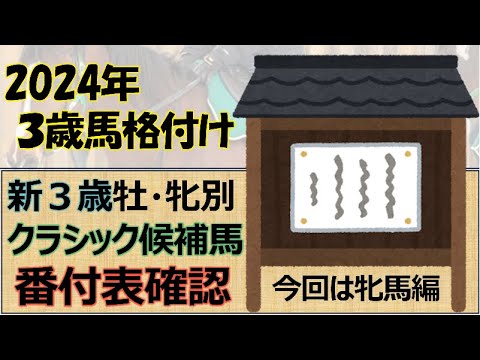 【一口馬主】3歳(牝馬)番付表！強い馬がデビュー済の牝馬路線☆すでにクラシック候補も多数出現、大注目の牝馬戦線を番付でご紹介☆