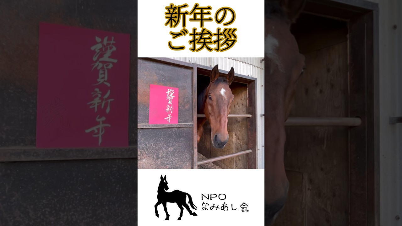 2024年　なみあし会　新年のご挨拶 #謹賀新年 #horse  #2024