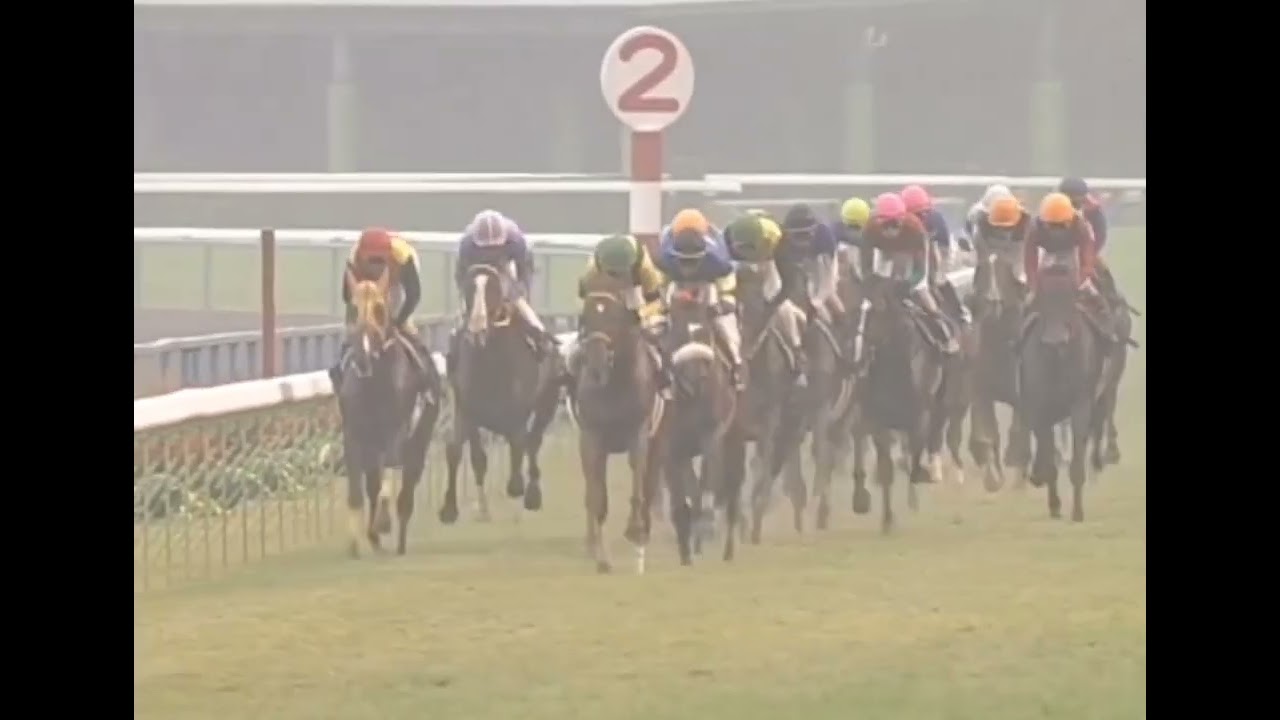 ヒシミラクル 2002年 第63回菊花賞(GI) (優勝馬：ヒシミラクル)(実況：ラジオたんぱ)