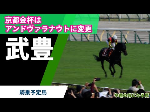 【武豊】京都金杯はエアファンディタからアンドヴァラナウトに騎乗馬変更