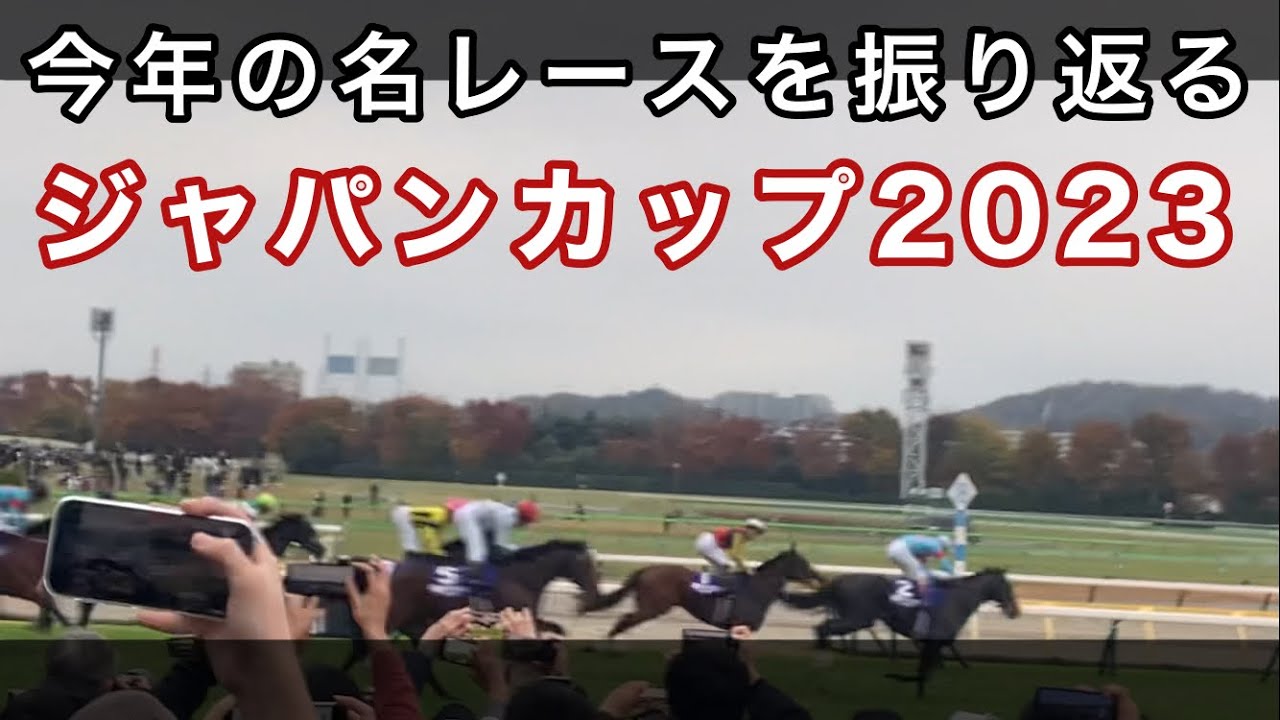 今年の名レースを振り返る。ジャパンカップ2023。世界最強馬イクイノックスのラストラン。【ジャパンC】　#イクイノックス  #ルメール騎手  #ジャパンカップ2023