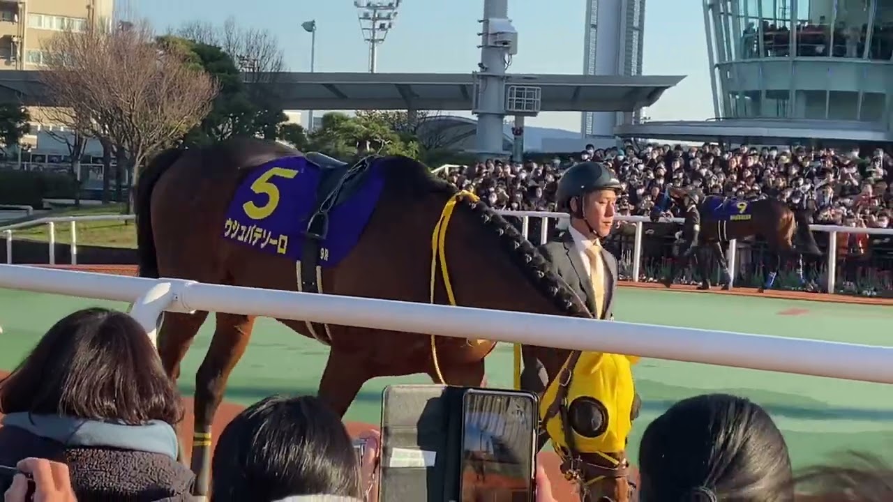 ウシュバテソーロ