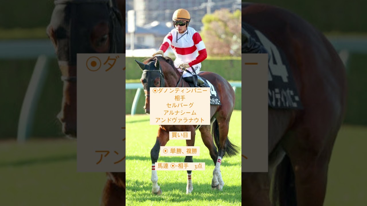 京都金杯2024 本命馬と相手　#競馬 #ギャンブル #京都金杯