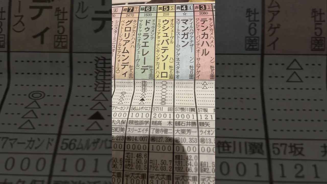 競馬予想🏇　東京大賞典　◎キングズ、○テソーロ川田さん