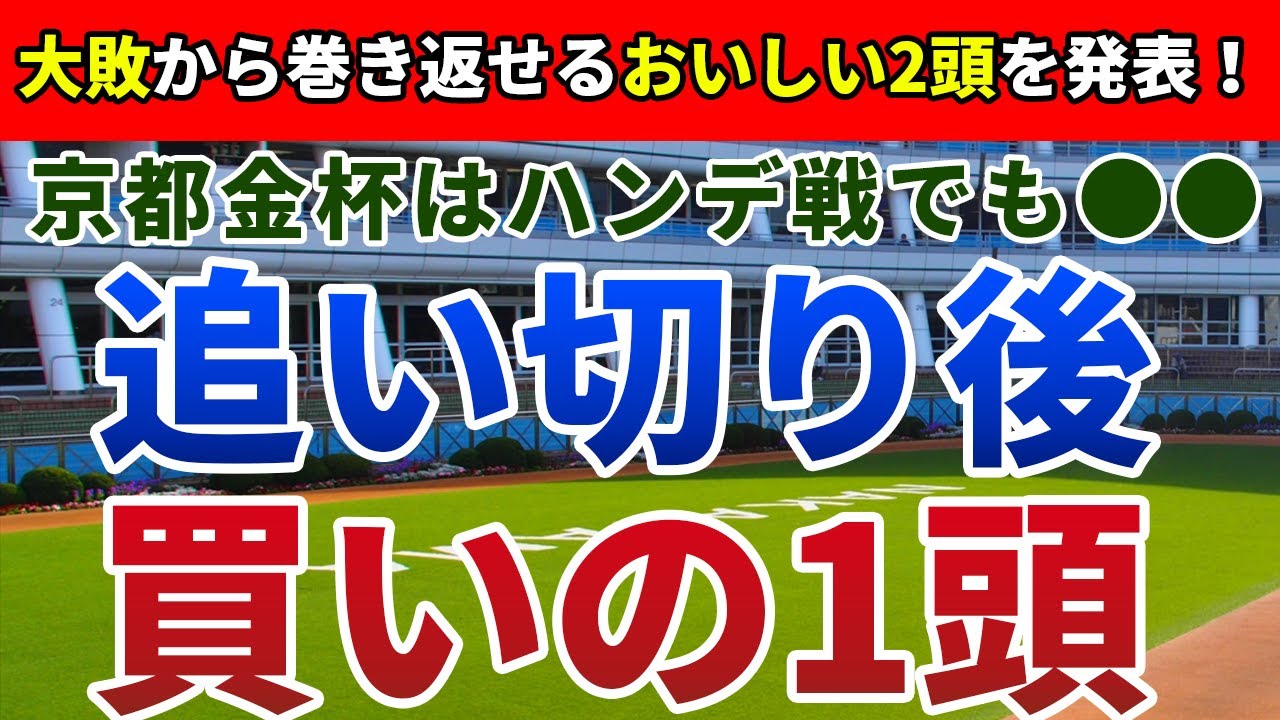 京都金杯2024 追い切り後【買いの1頭】公開！ハンデと能力の元値に注目すべきレース！条件好転なら一変可能なまさかの馬は？