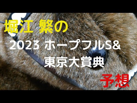堀江 繁の2023ホープフルS&東京大賞典予想