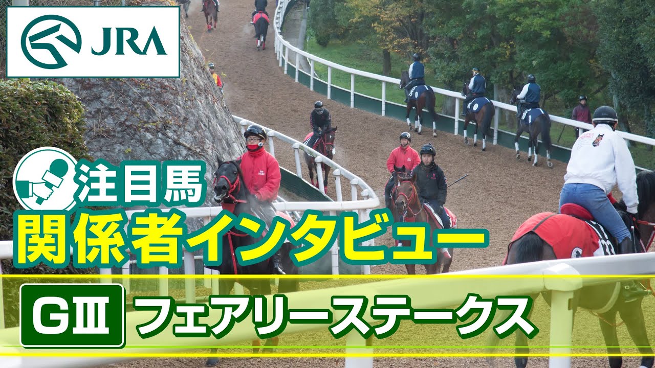 【注目馬 関係者インタビュー】2024年 フェアリーステークス｜JRA公式