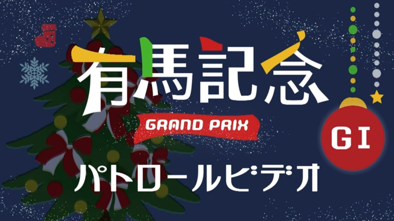 12/24 中山11R 有馬記念 パトロールビデオ