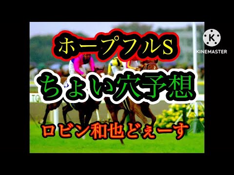 2023年12月28日