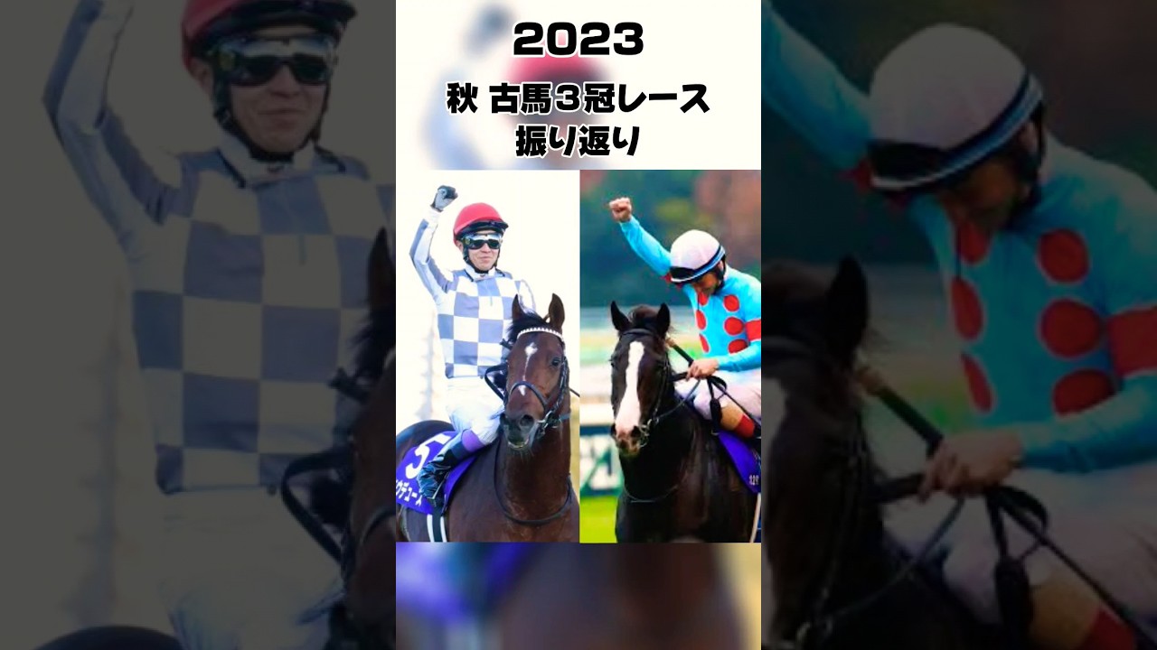2023 秋 古馬３冠レース振り返り