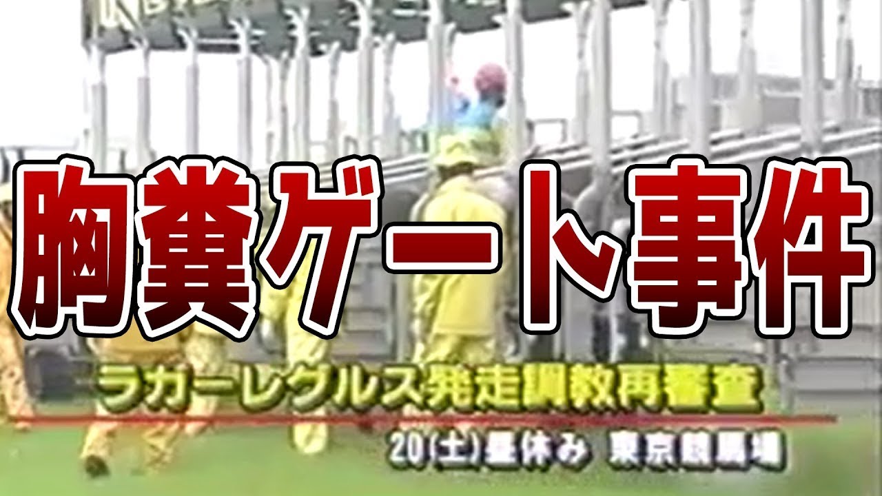 【競馬】命を張ってる馬の人生を狂わせた競馬史上最悪の事件