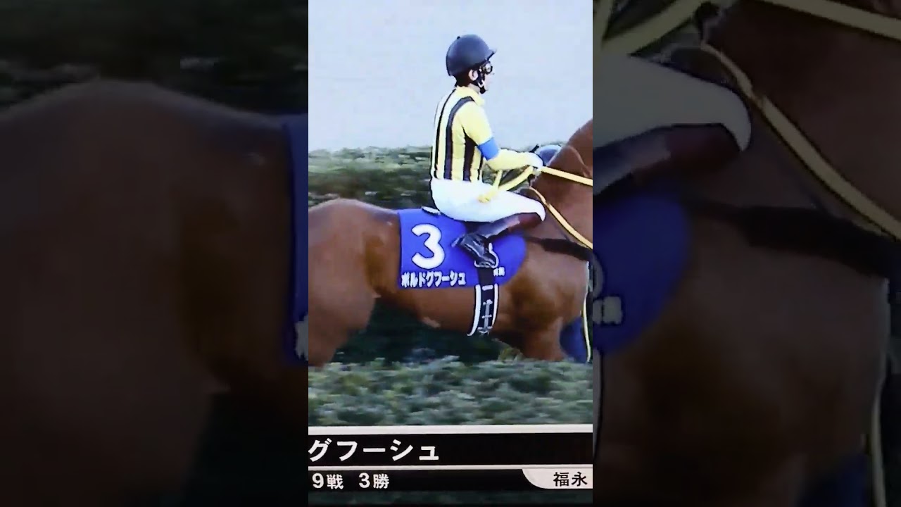 ボルドグフーシュ応援＠有馬記念2022