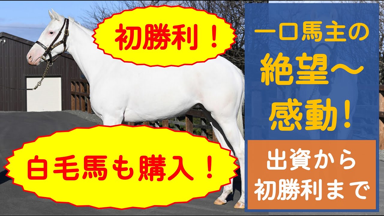【リアル】絶望から感動まで…サラブレッドに出資するということ