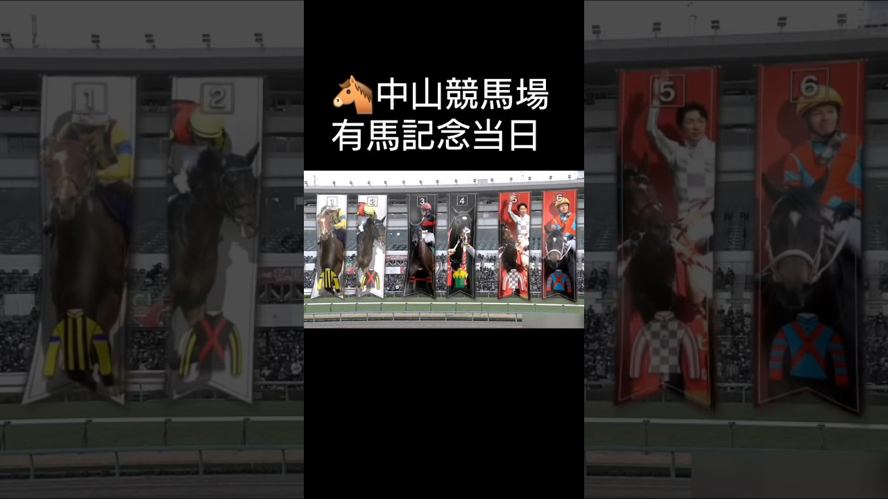 有馬記念当日に白毛ソダシが登場