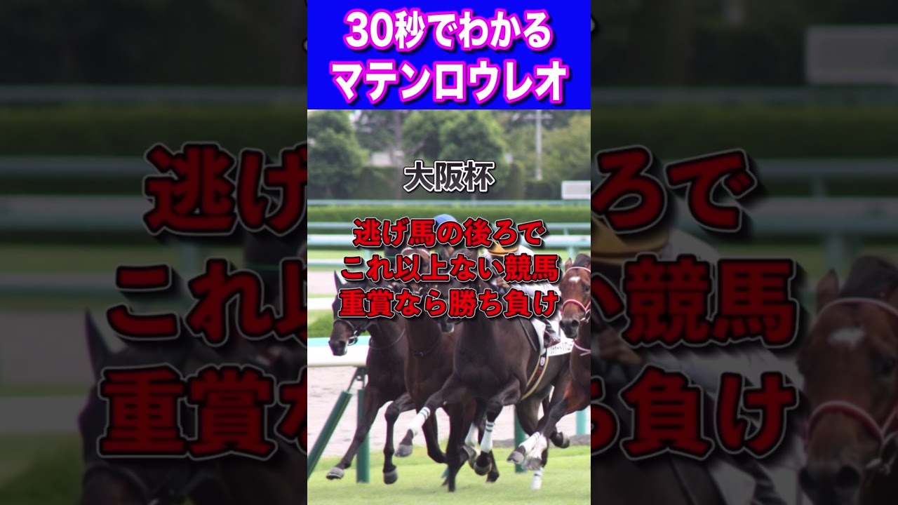 【中山金杯2024】30秒でわかるマテンロウレオ