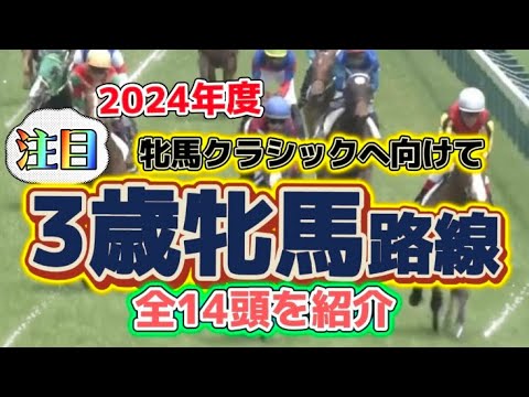 2024年牝馬クラシック路線有力候補14頭を紹介