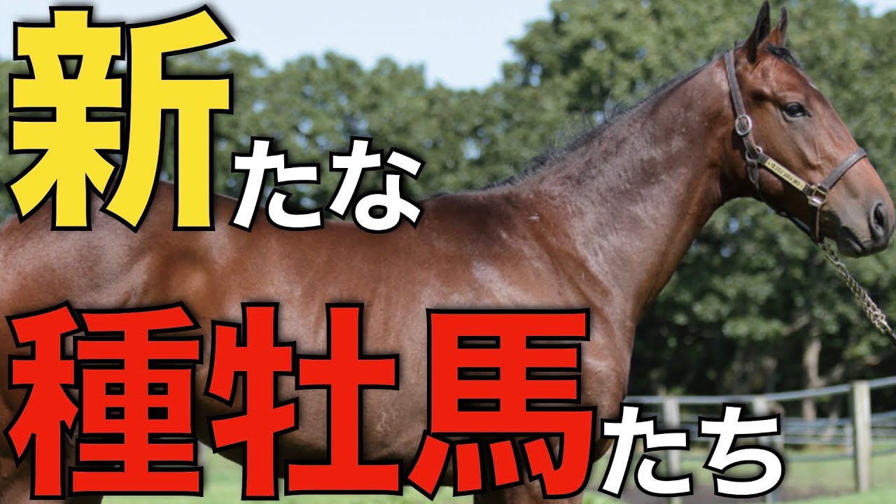 今年からスタッドインした新種牡馬をまとめてみた！日本、海外勢ともに大物揃う。