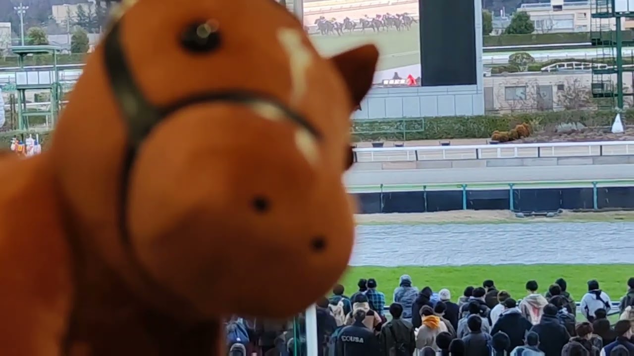 2023年　有馬記念　福島競馬場から