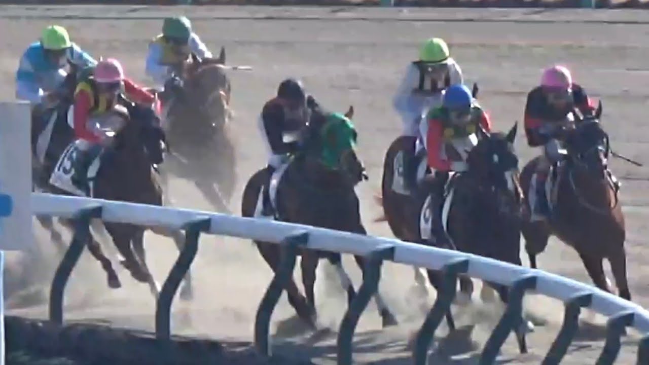 【2024年JRA最初の新馬戦】メイクデビュー中山　1着フェデラルスタイル号（津村明秀騎手）2024年1月6日（土）中山競馬場