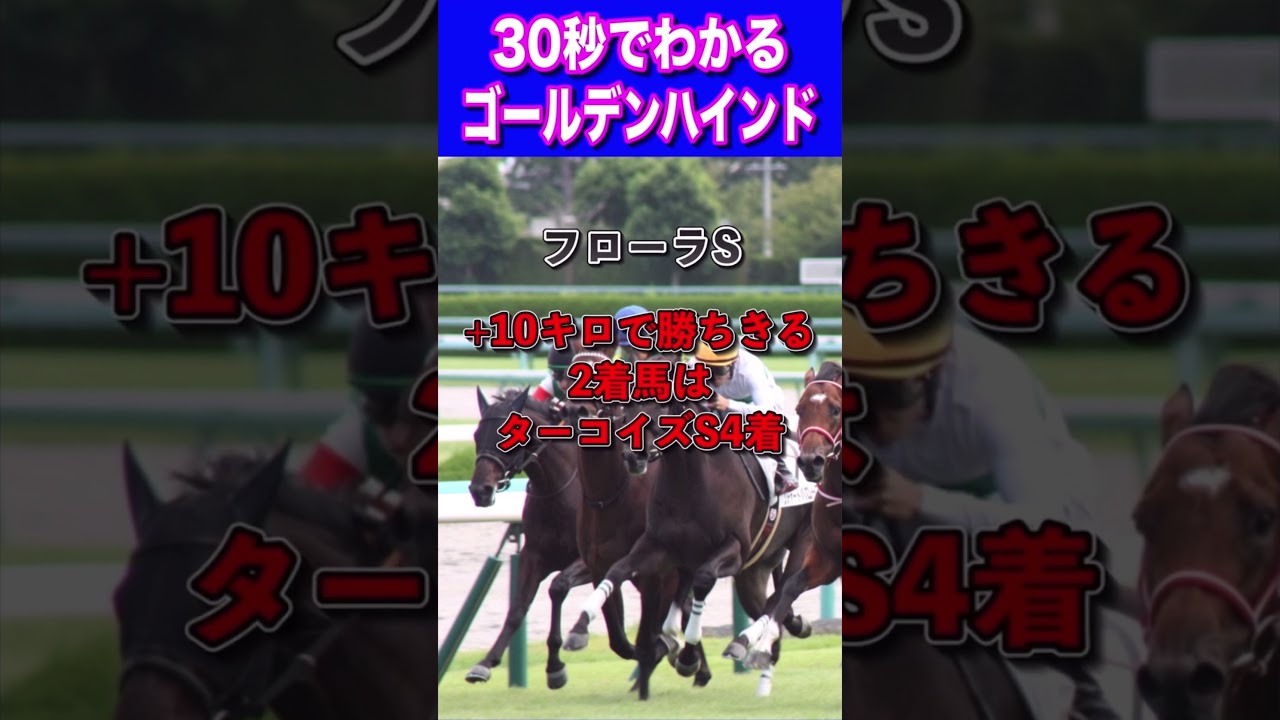 【中山金杯2024】30秒でわかるゴールデンハインド