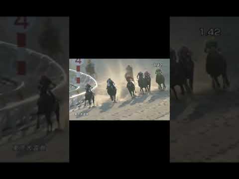 東京大賞典の3連単は競馬