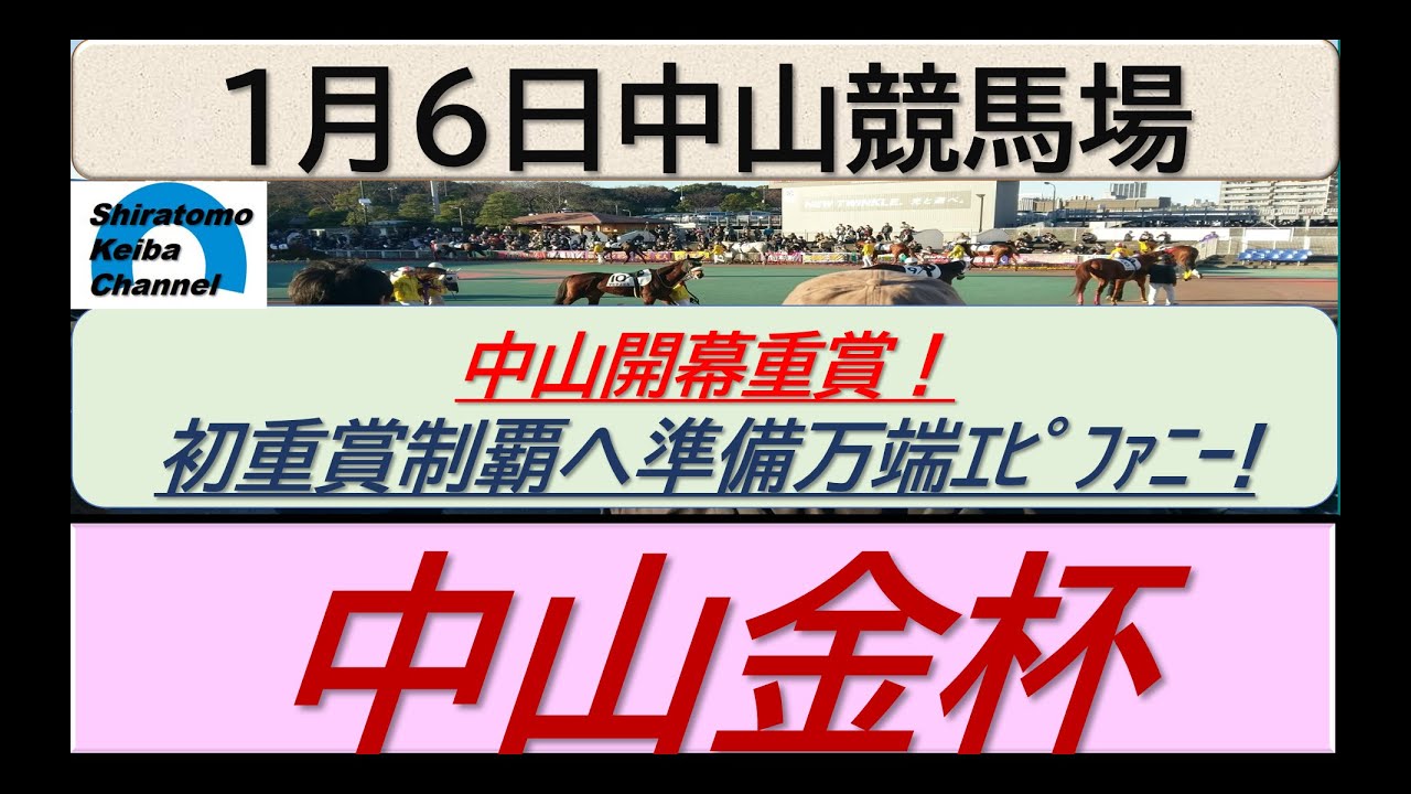 【競馬予想】GⅢ中山金杯！～２０２４年１月６日 中山競馬場 ：１－１４