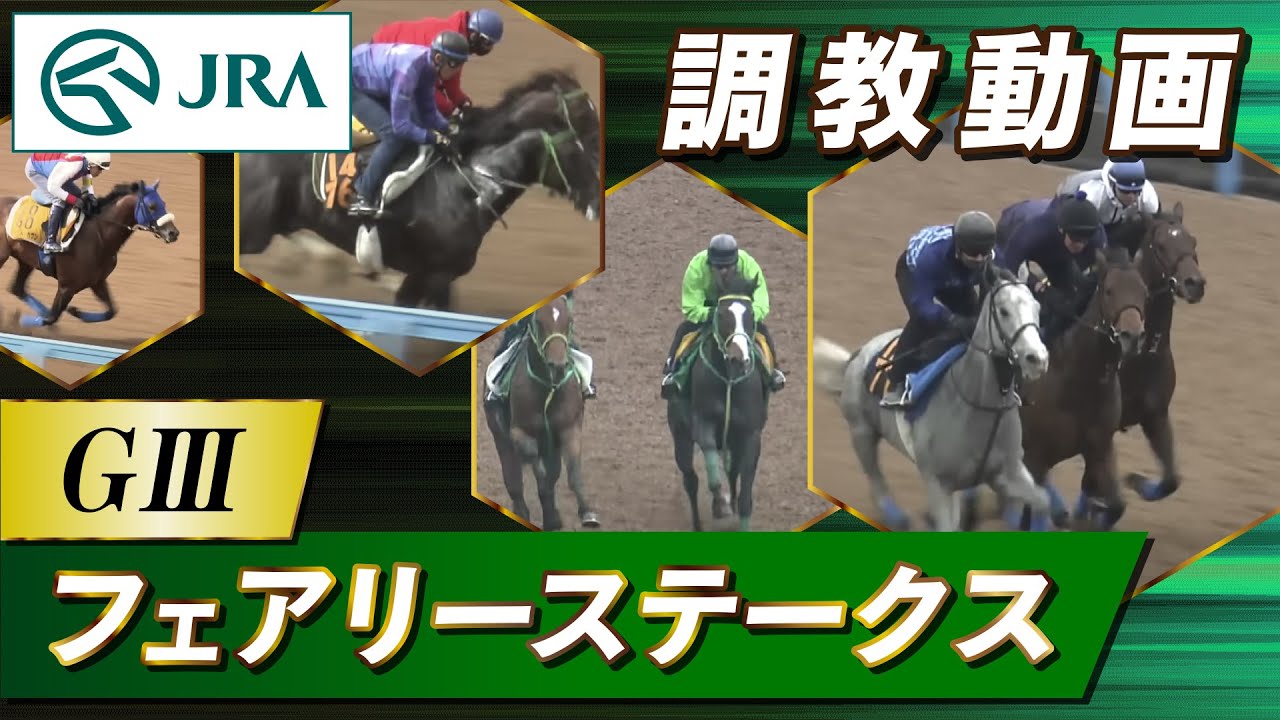 【調教動画】2024年 フェアリーステークス｜JRA公式