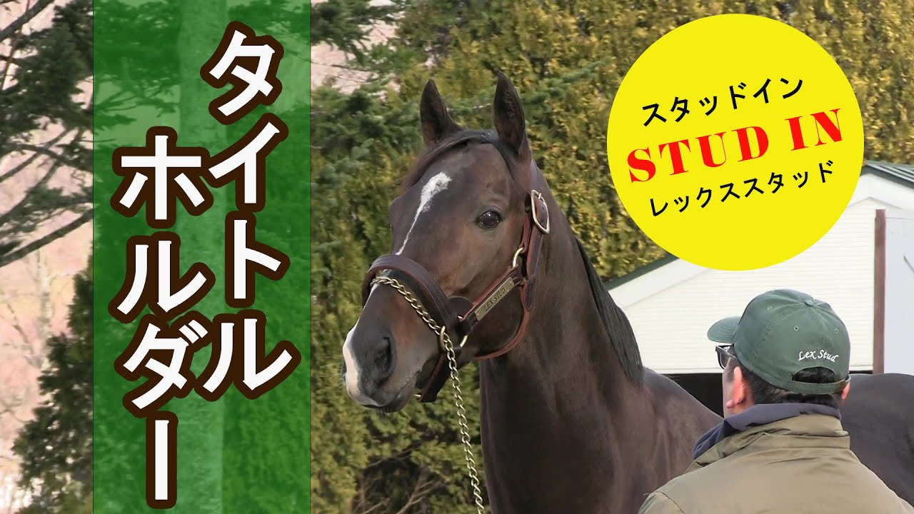 タイトルホルダー スタッドイン