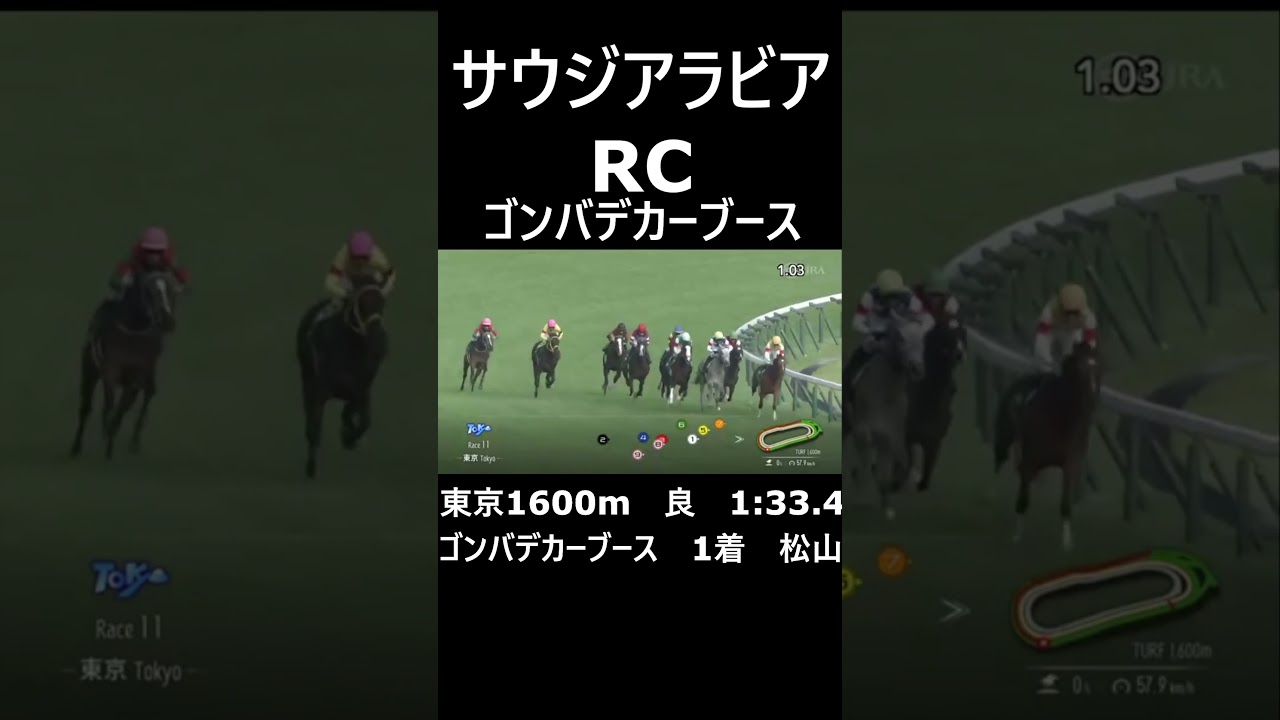 サウジアラビアRC　ゴンバデカーブース　#shorts