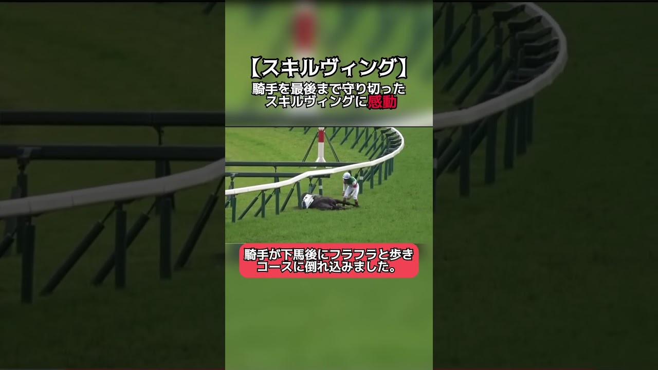 【感動】スキルヴィングとルメール騎手。守り切ったスキルヴィングに称賛を。#競馬 #スキルヴィング #日本ダービー #最後まで見てください #おすすめ