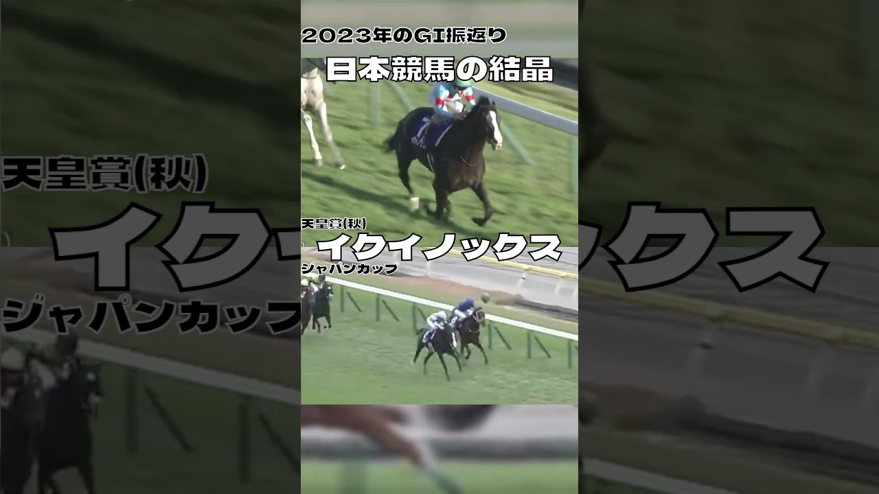 2023GⅠ振返り 日本競馬の結晶 年度代表馬はこの馬で決まり イクイノックス#shorts