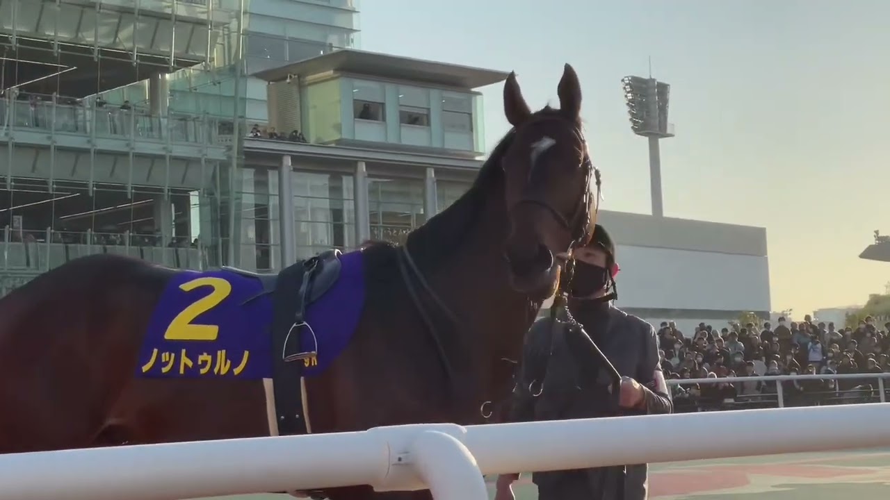 [ 東京大賞典2023 ]   ノットゥルノ