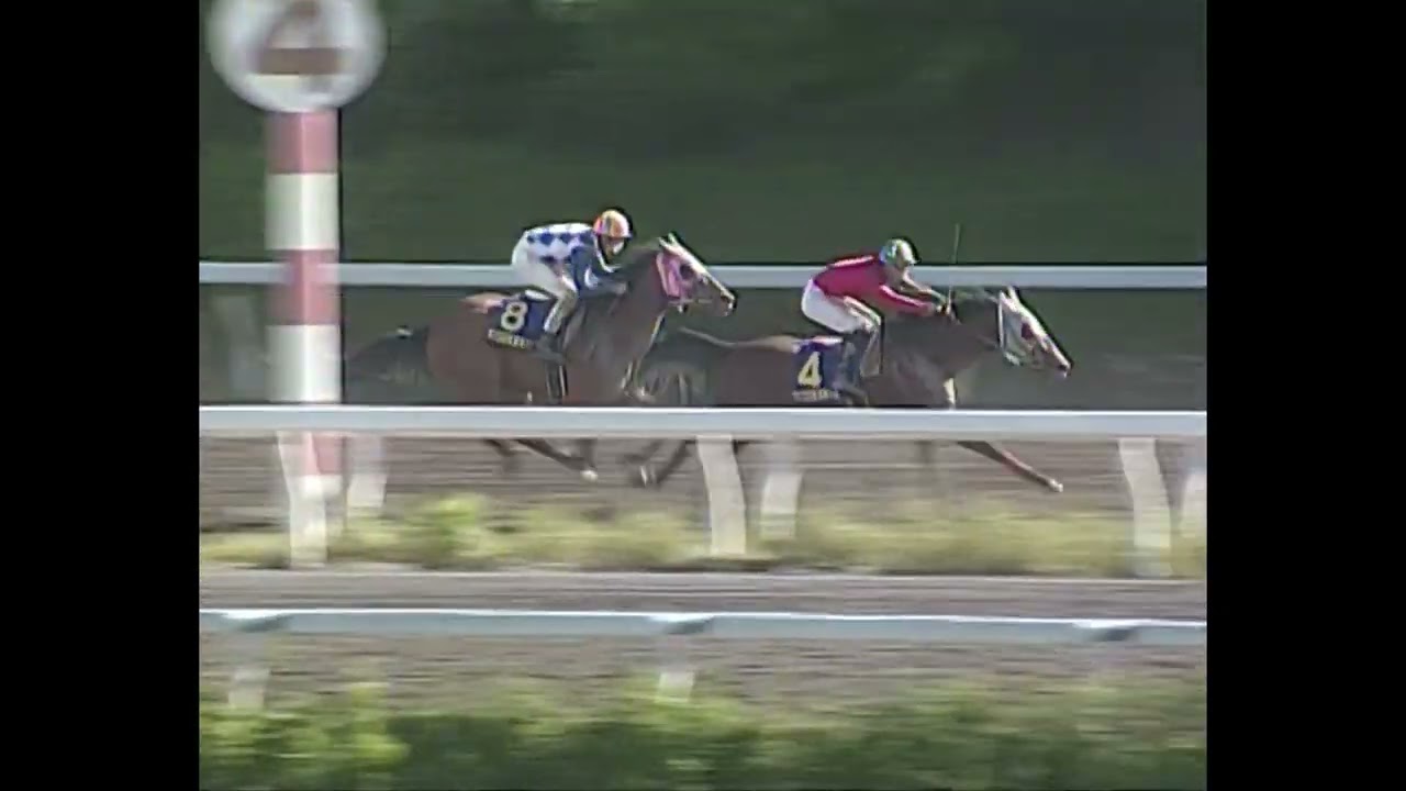 2008年5月11日　第12回黒潮皐月賞