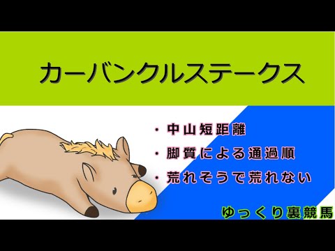 メインばかりやるんじゃない！！カーバンクルステークスの予想動画