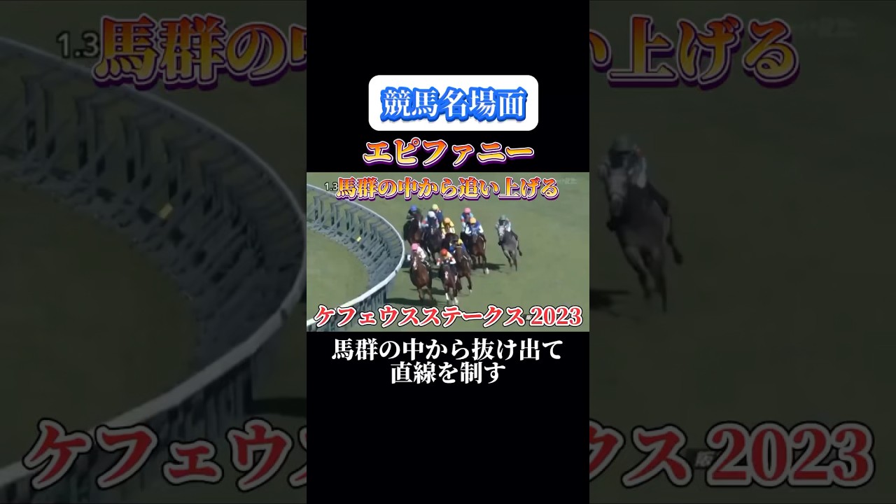 【競馬】エピファニー【ケフェウスS 2023】#shorts #競馬 #マテンロウレオ #ケフェウスステークス #競馬予想はショート動画に