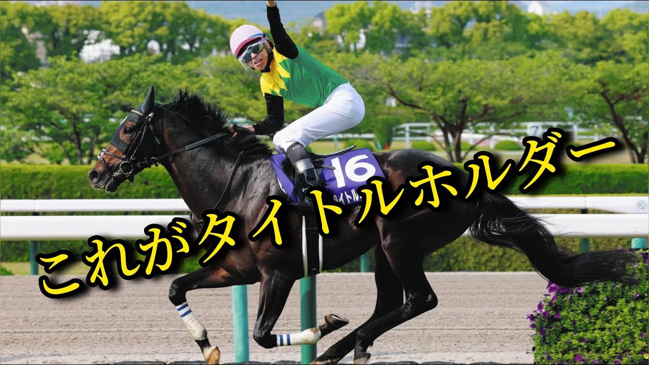 これがタイトルホルダー