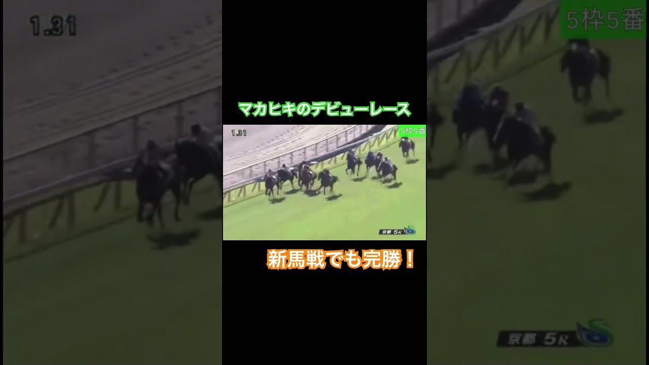 マカヒキの新馬戦！無関係な強さを見せつける