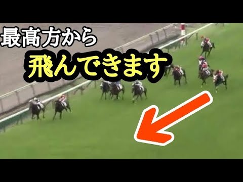 このレースは無理かと思ったら、すごいスピードで飛んできた