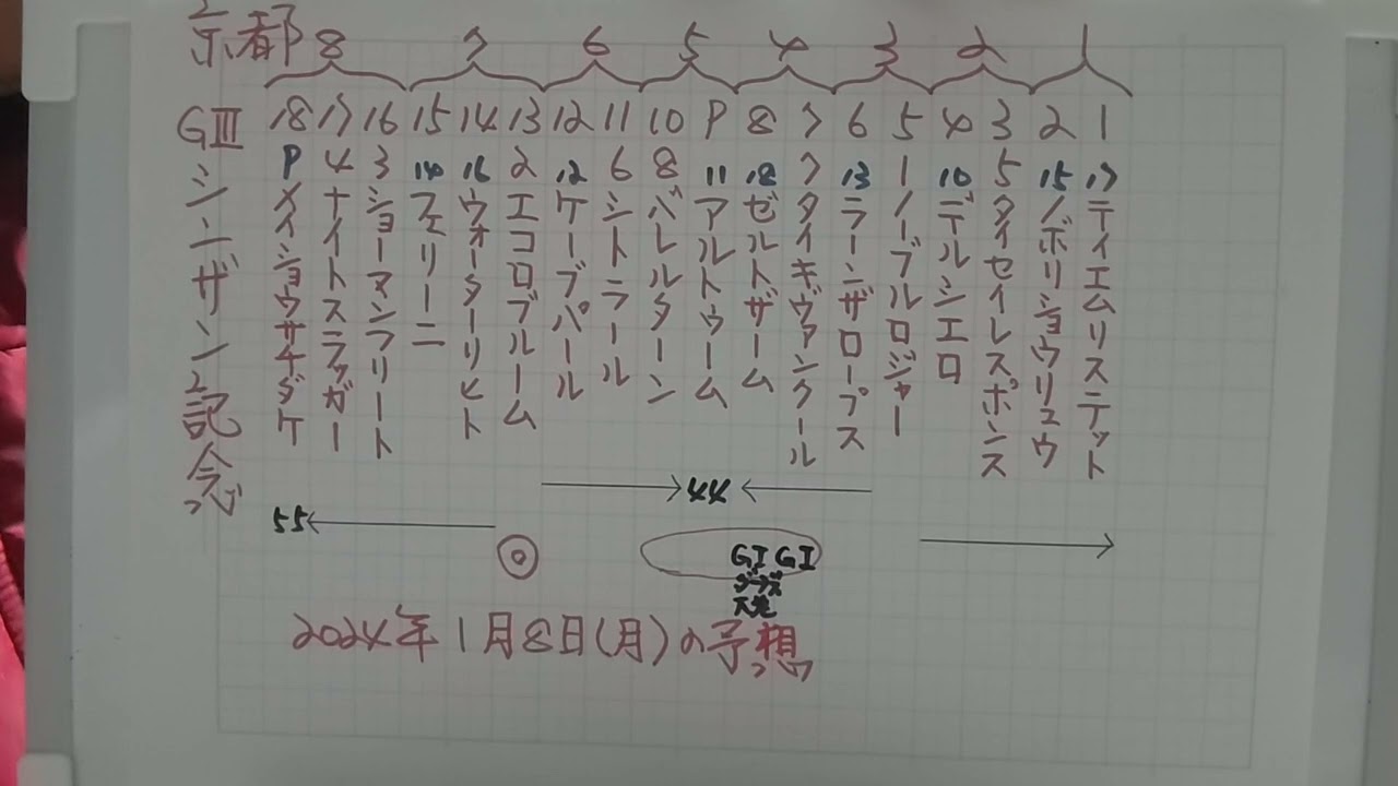 番外・ごみちゃんの中央競馬の予想∶シンザン記念
