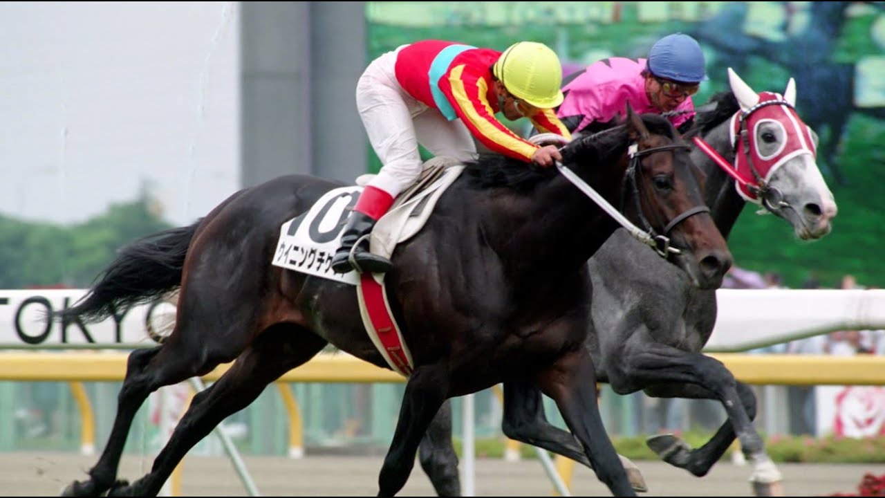 第60回　東京優駿（日本ダービー）（ＧⅠ）　ウイニングチケット　牡３　57　柴田政人　1993.5.30　　出走馬：ビワハヤヒデ 、ナリタタイシン、ガレオン、マイシンザン、テイエムハリケーン他