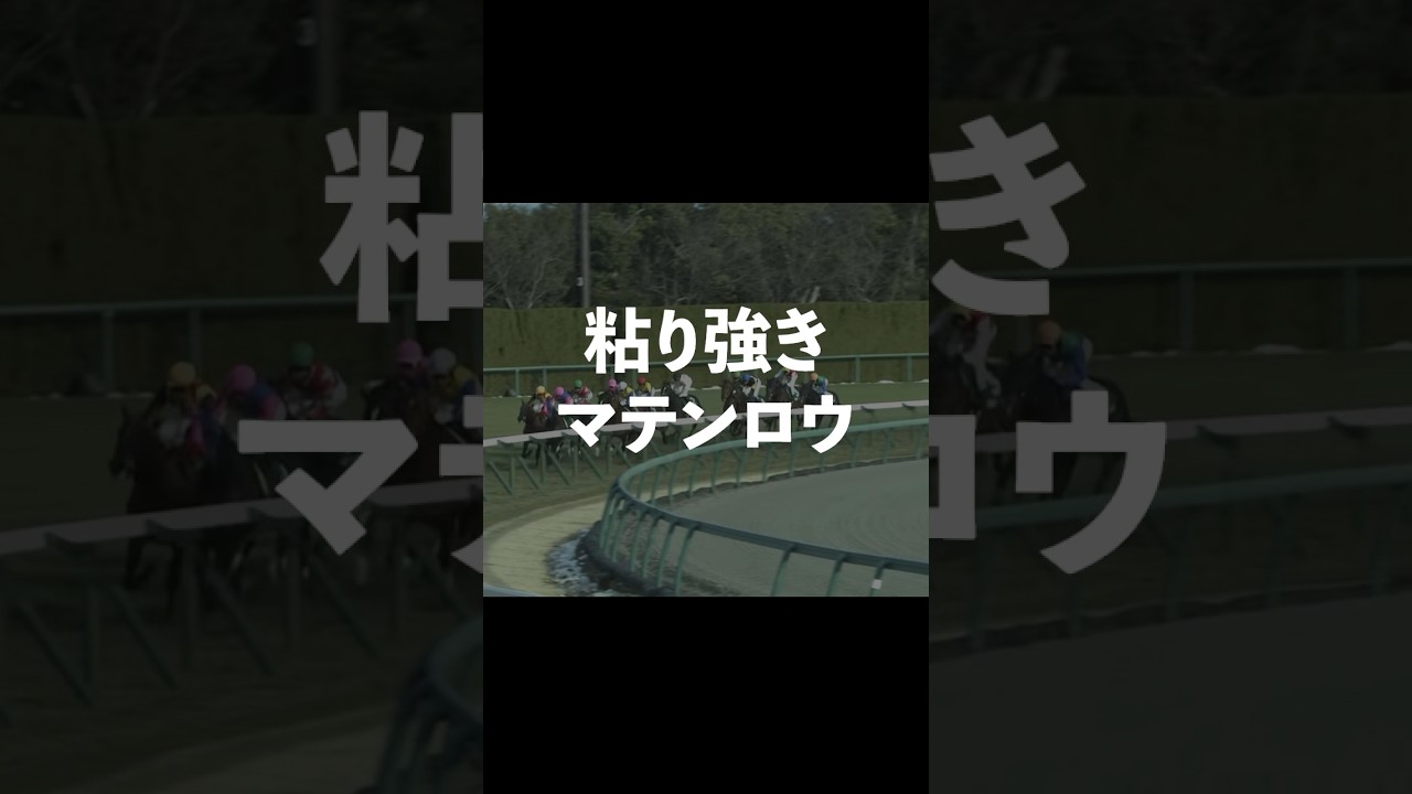 【マテンロウレオ】マテンロウの名を関する粘り強き脚#競馬 #中山金杯