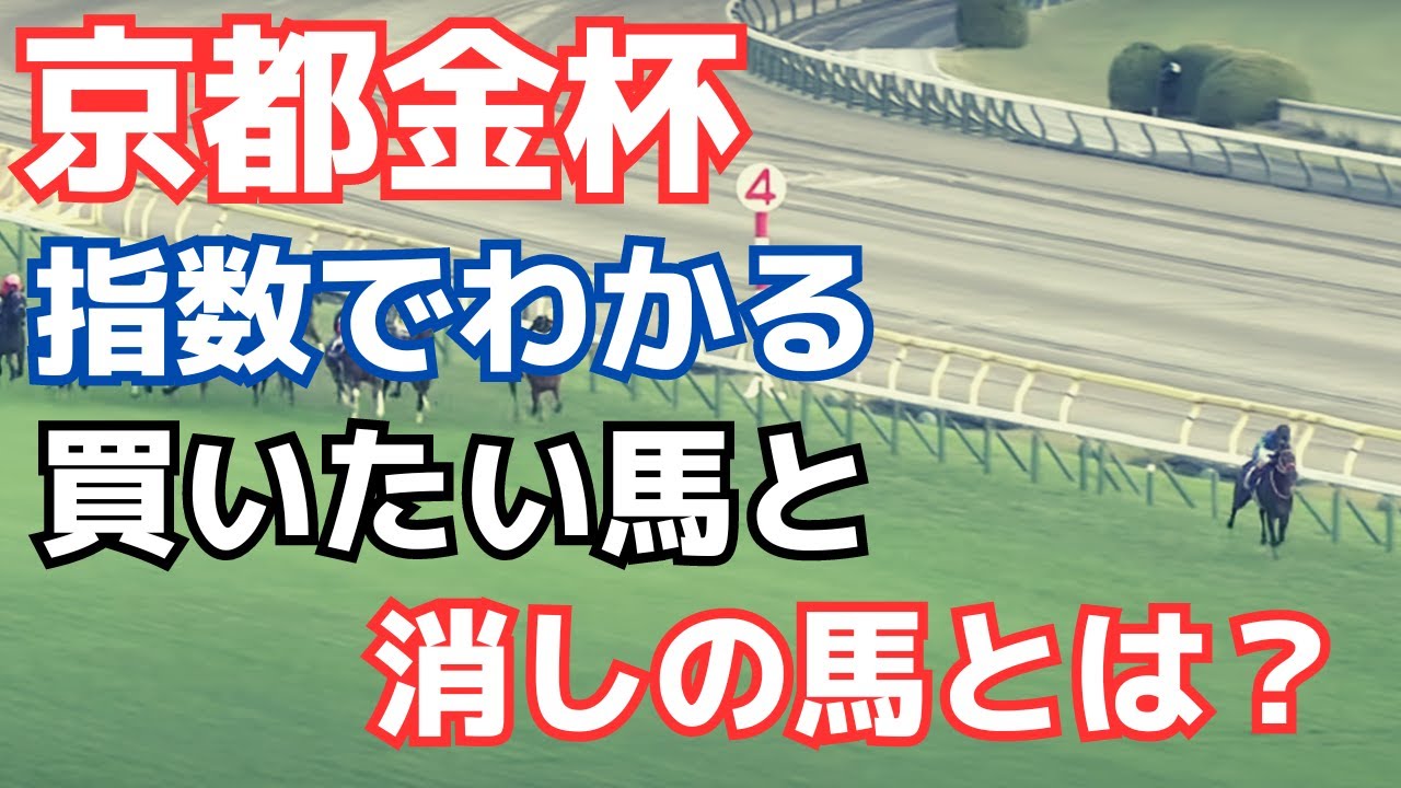 【京都金杯2024】指数でわかる買いたい馬、消したい馬とは？